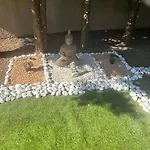 Jacuzzi A L'abri Des Vents * قرقشونه
