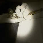 Jacuzzi A L'abri Des Vents بيت للعطل قرقشونه
