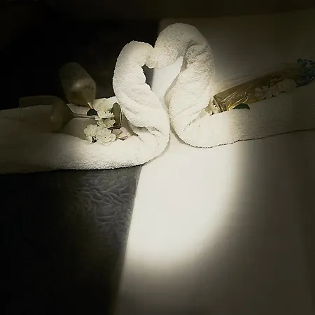 Jacuzzi A L'abri Des Vents Holiday home Carcassonne