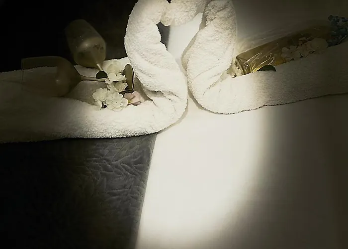 Jacuzzi A L'abri Des Vents Tatil Evi Carcassonne